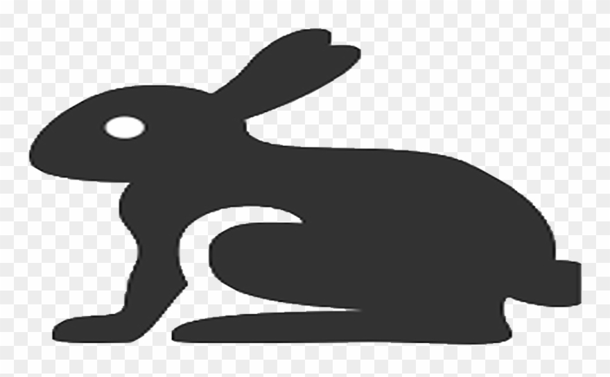 Iconos De Animales Png Clipart