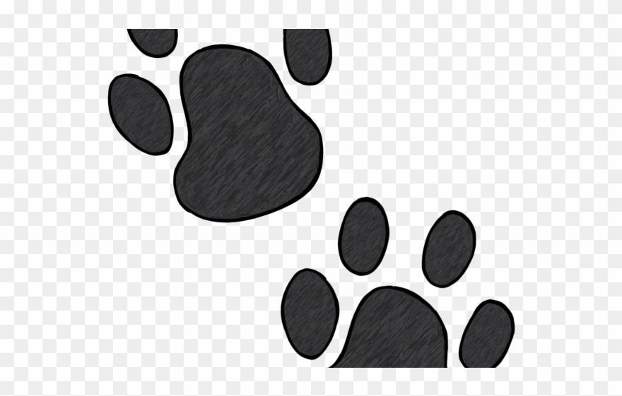 Wildcat Clipart Bear Claw - Paw - Png Download