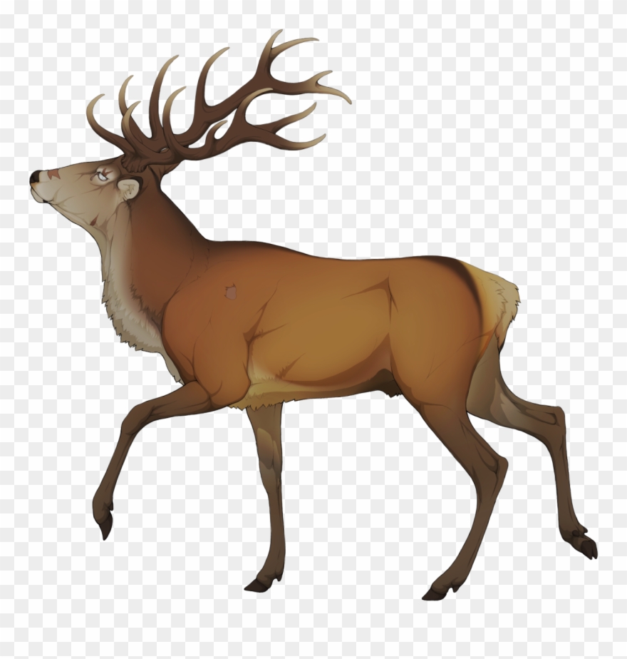 Elk Clipart Golden Deer - Elk - Png Download