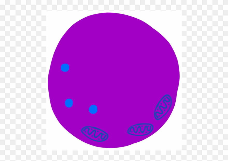 There's Also Vacuoles, And They Are Flu - Circle Clipart