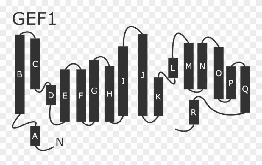 2d Topology Of The Gef1 Chloride Channel Clipart