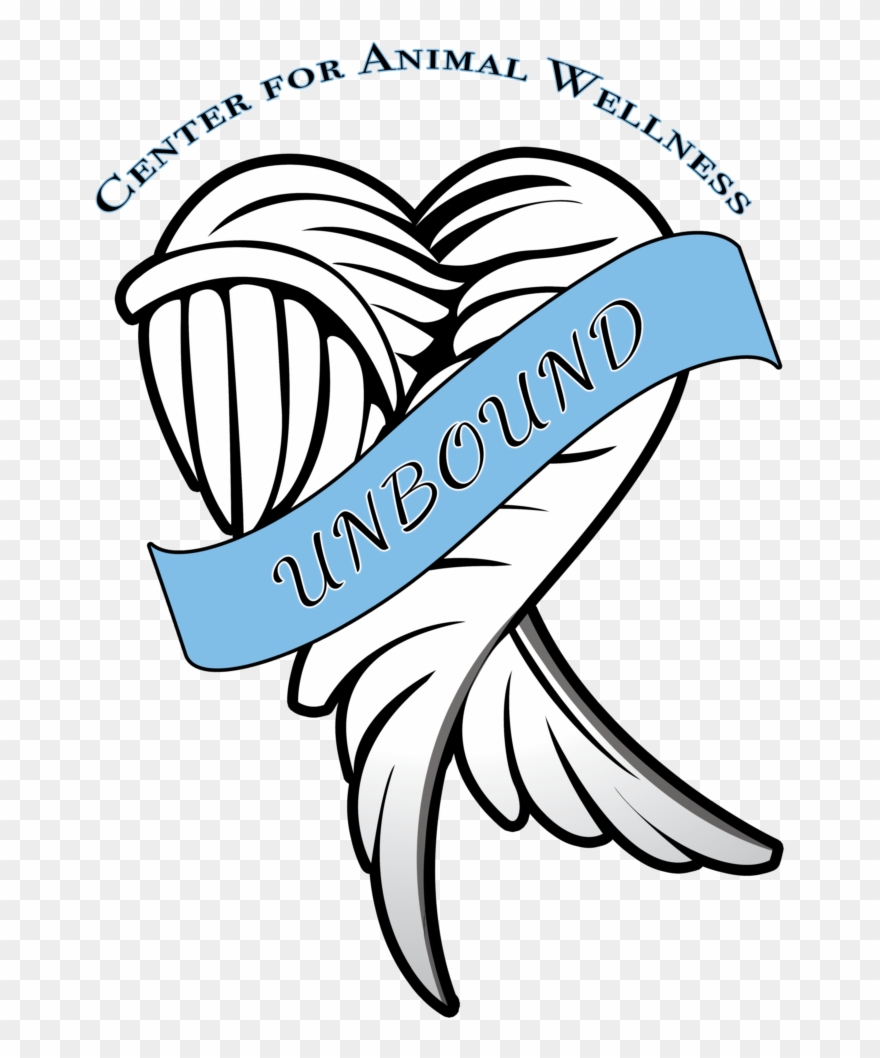 Your Shopping Cart Clipart