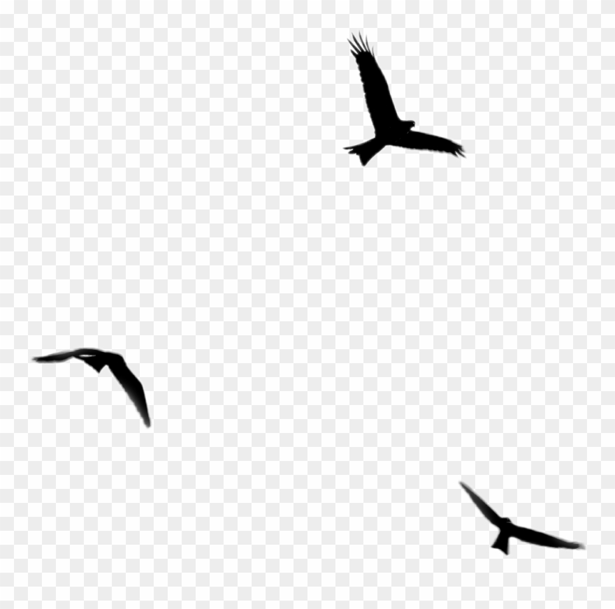 Birds Sticker - Alhamdulillah Clipart