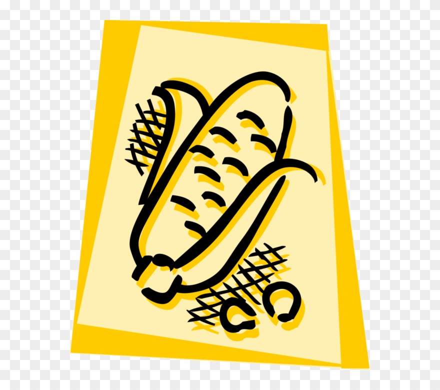 Vector Illustration Of Corn Maize Grain Plant Cob Husk - Illustration Clipart