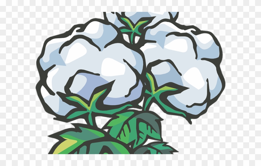 Cotton Clipart Cotton Ball - Transparent Background Cotton Clipart - Png Download