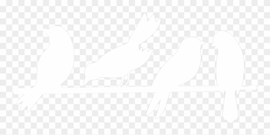 My Friend The Bird - Parrot Clipart