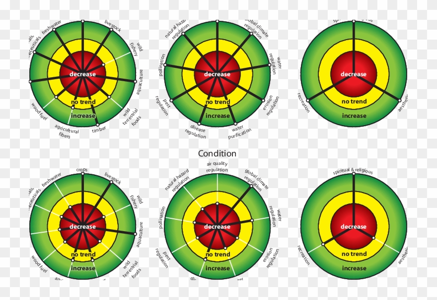 Trends In Human Use And Condition (lower) Of Ecosystem - Circle Clipart
