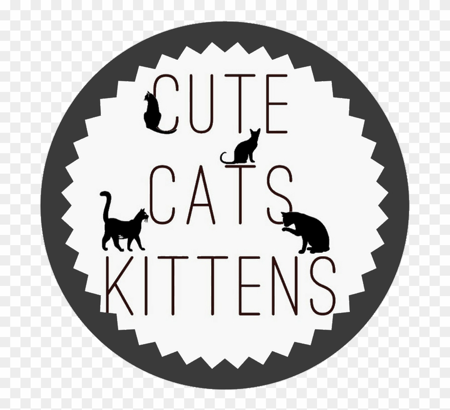 Shoutout On Buysellshoutouts - Muslim Logos Clipart