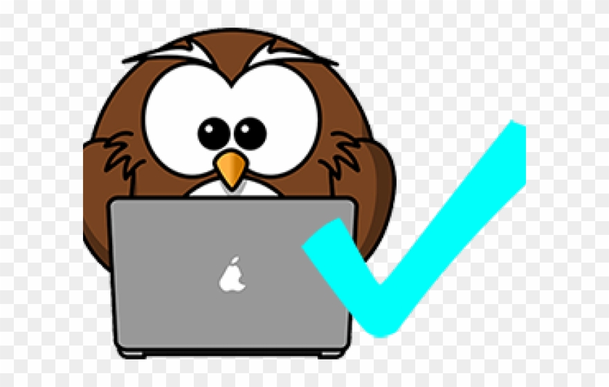 Cartoon Owl Clipart