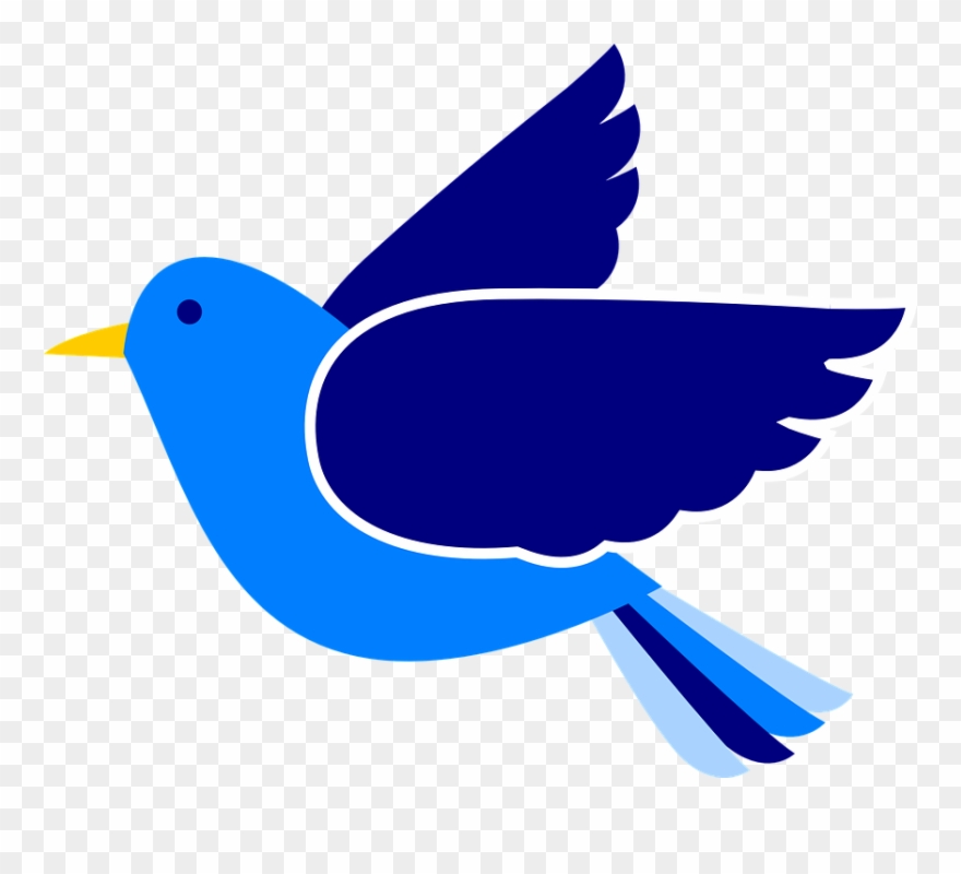 Clipart Of Humanitarian, Bird At And Dove Bird Peace - Bird Clip Art - Png Download