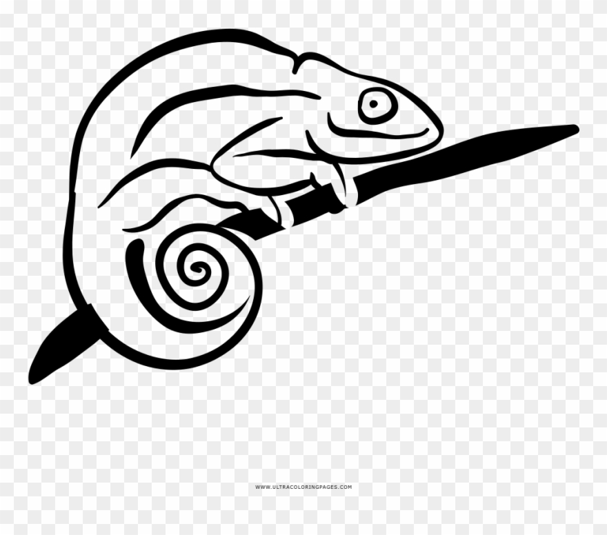 Chameleon Coloring Page - Illustration Clipart