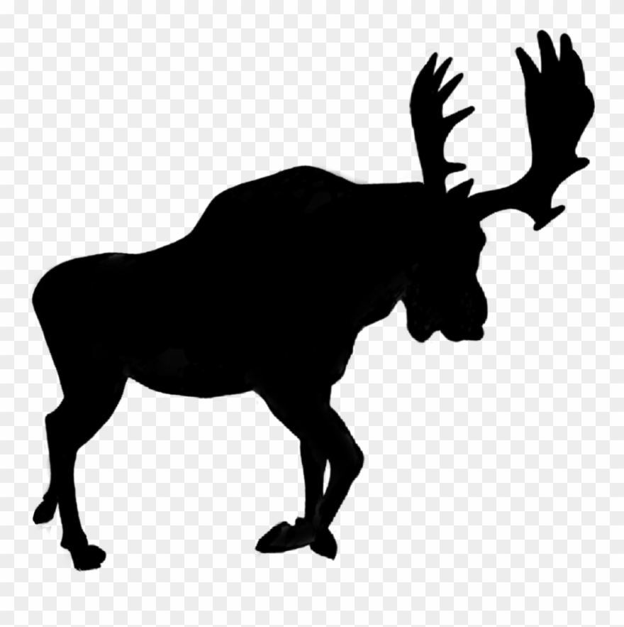 Silhouette Sticker - Horse Clip Art Silhouette - Png Download