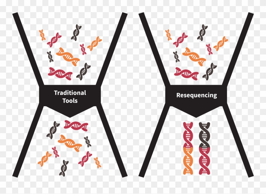 Graham Randall And Mark Roach Of Quantuma Llp, The Clipart