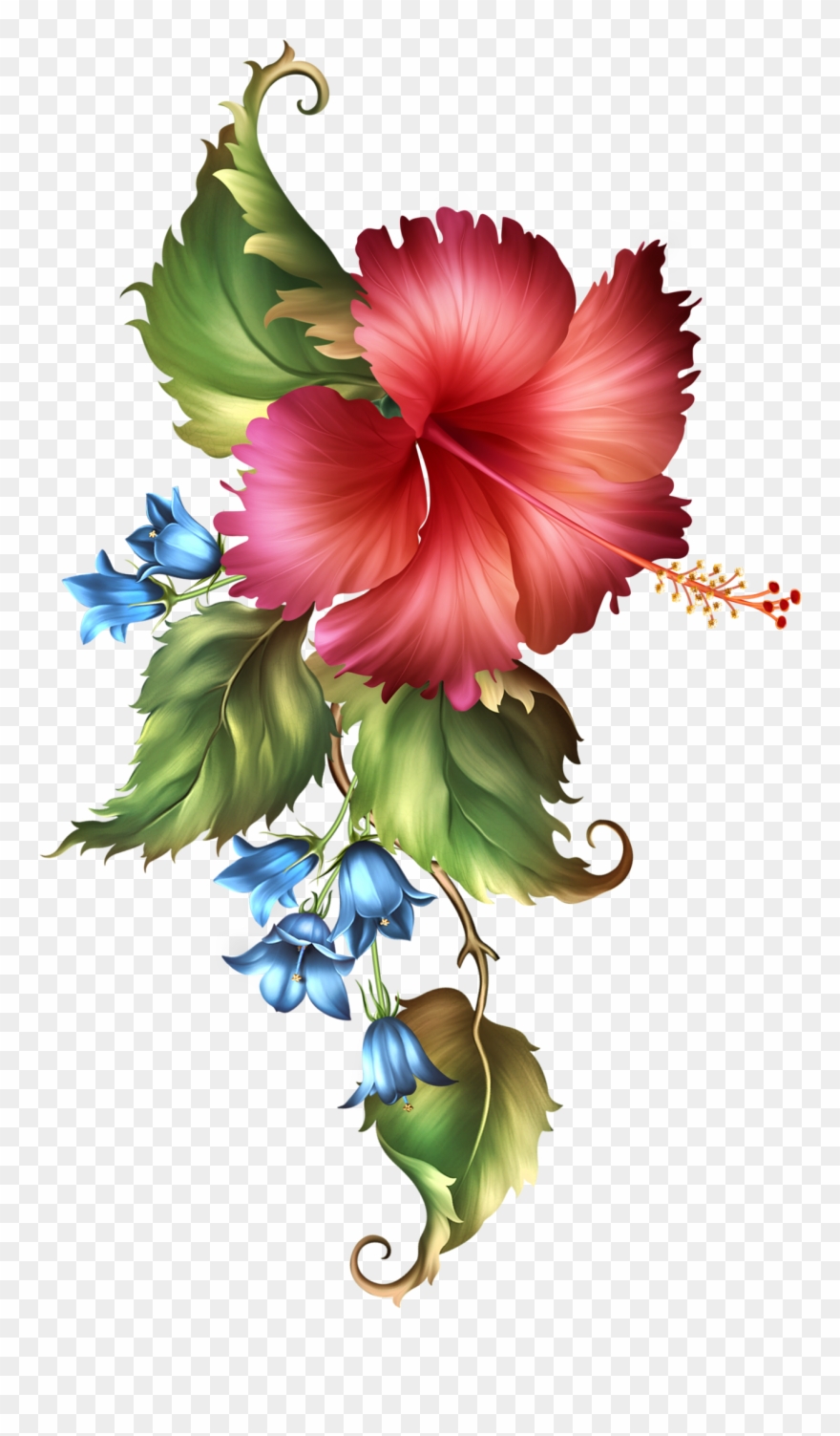 Fashionably Florale Hoe, Simply Beautiful, Flora, Frames, - Hawaiian Hibiscus Clipart