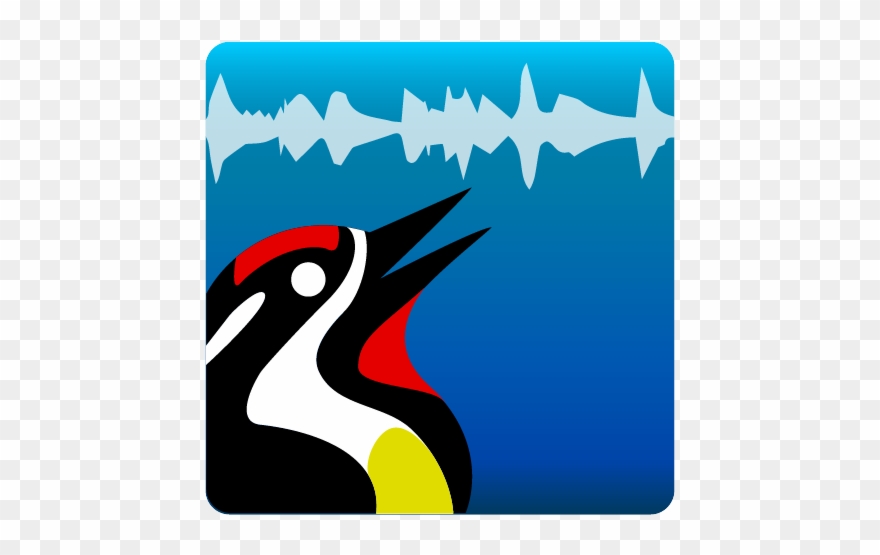 Birdnet App Icon - Illustration Clipart