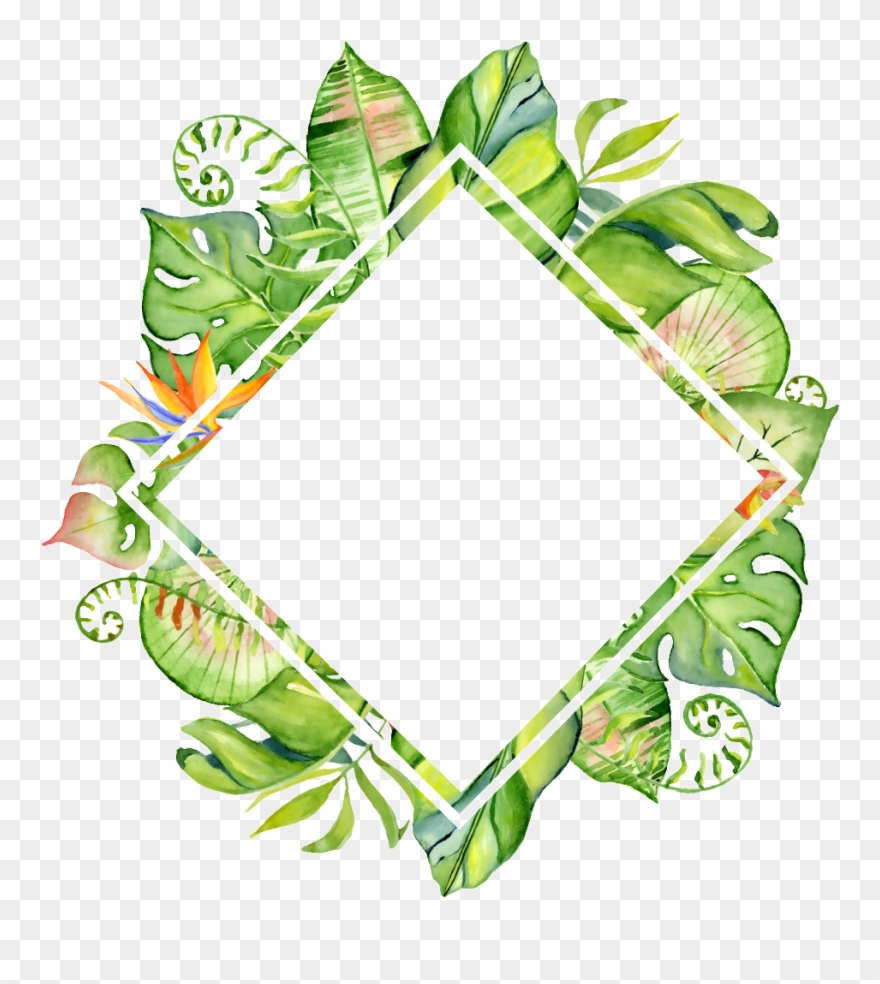 Download Hand Painted Rhomboid - Tropical Leaves Frame Png Clipart