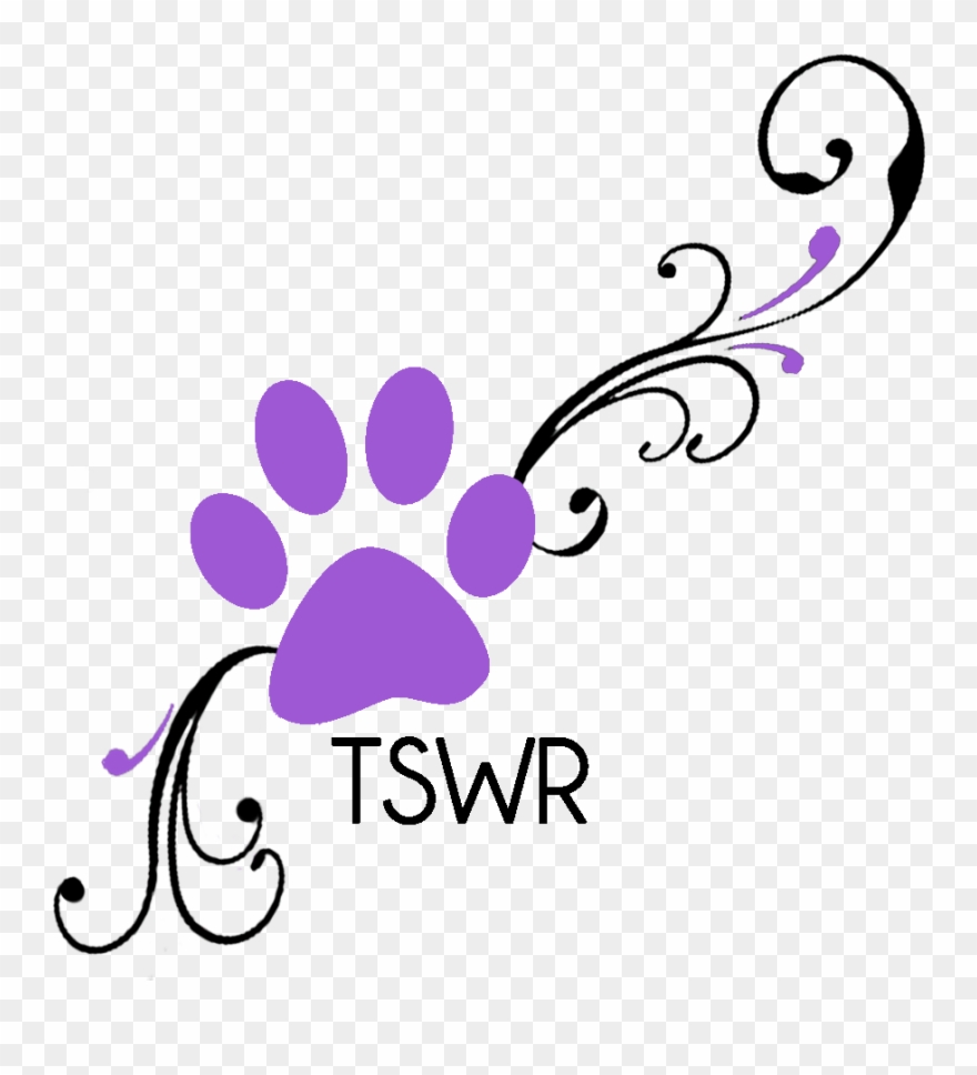 The 30 Day Coverage Plan Ensures The Pets You Adopt Clipart