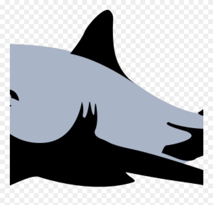 Free Clipart Shark Shark Clip Art Black And White Clipart - Paul Shark Logo Vector - Png Download