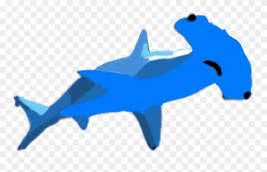 Report Abuse - Bronze Hammerhead Shark Clipart