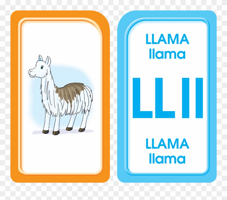 Bilingual Alphabet Flash Cards Introduces Abcs In Spanish - Stroke Clipart