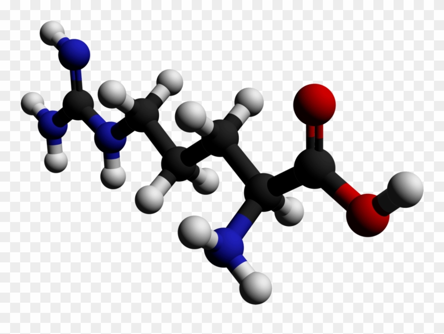 Arginine - Arginine 3d Structure Clipart