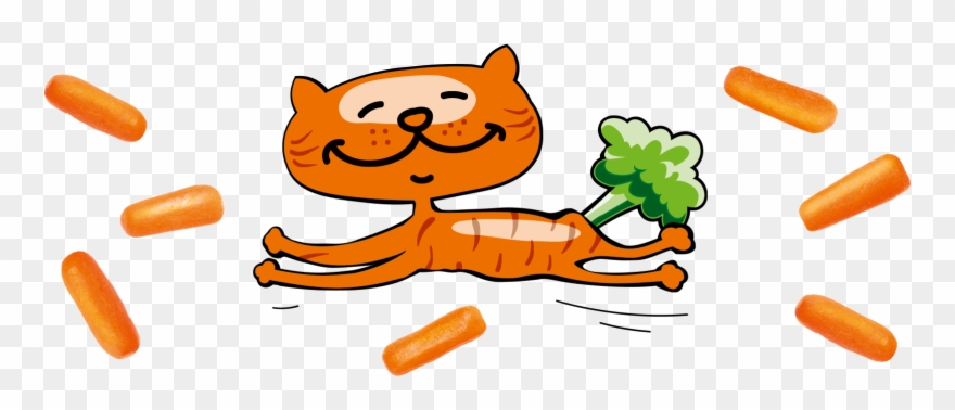 As The Carrot Grows On Uventa's Own Fields, The Company Clipart