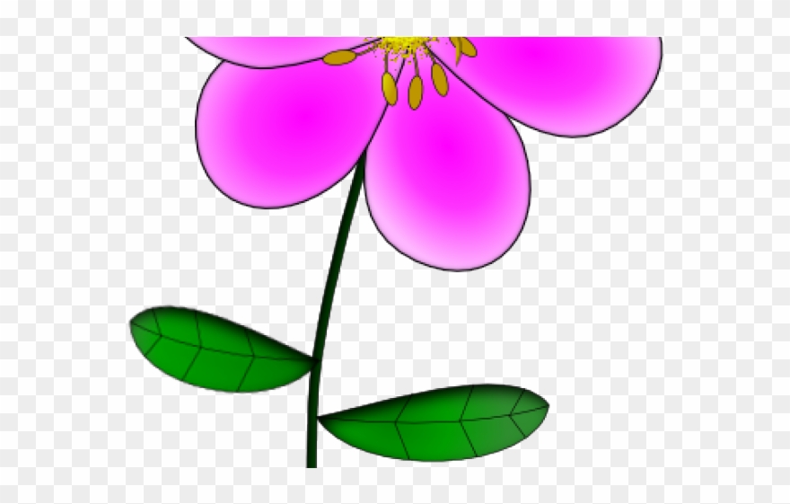 Hydrangea Clipart Cartoon - Png Download