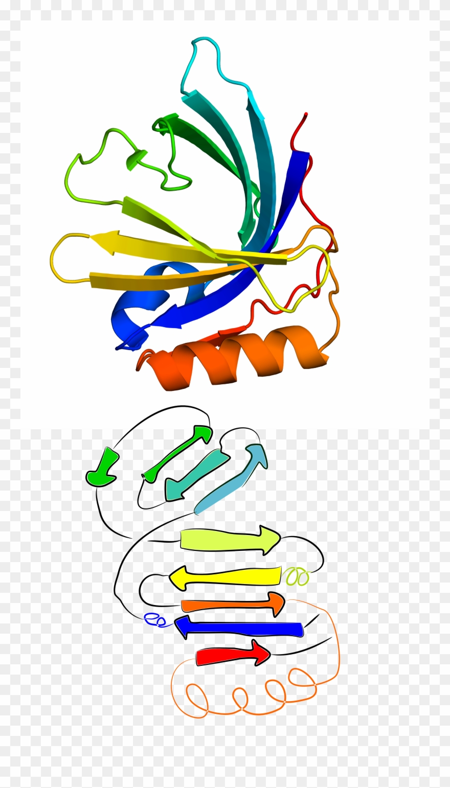 8 Original Structure Of The Protein With Pdb Id 2xkl - Graphic Design Clipart