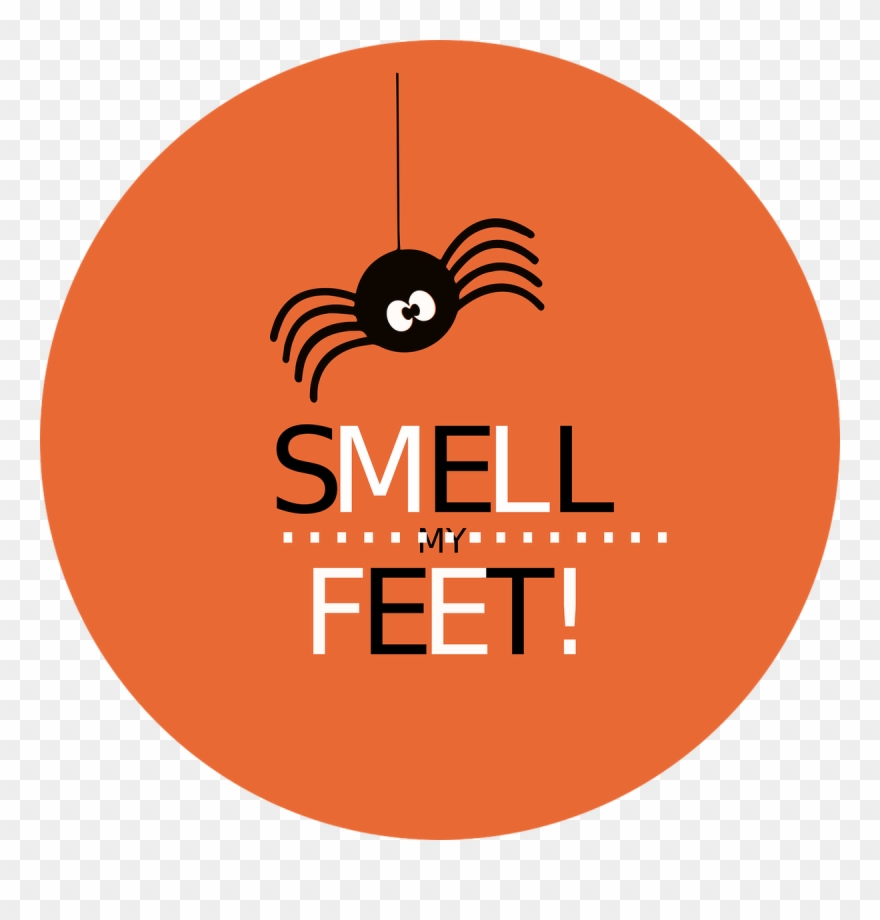 Scent Ireland On Twitter - Circle Clipart