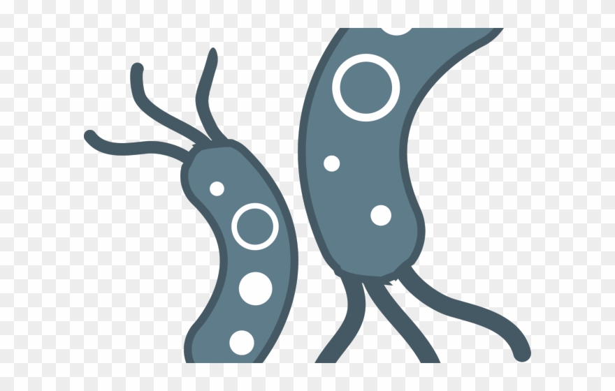 Microscope Clipart Clear - Transparent Background Bacteria Png