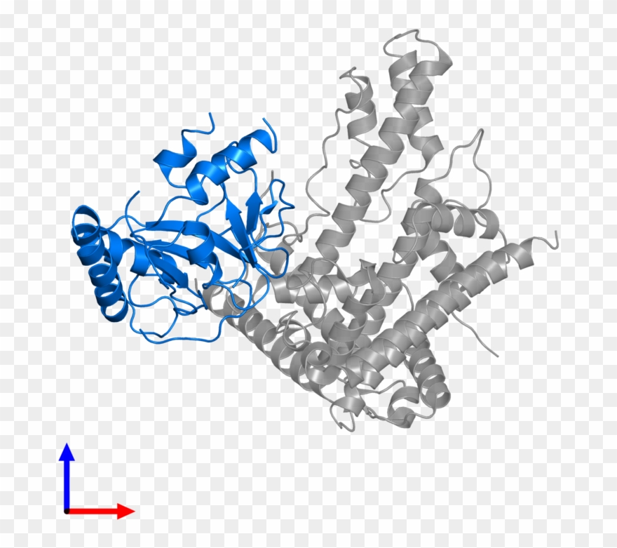 <div Class='caption-body'>pdb Entry 5kdm Contains 1 - Graphic Design Clipart