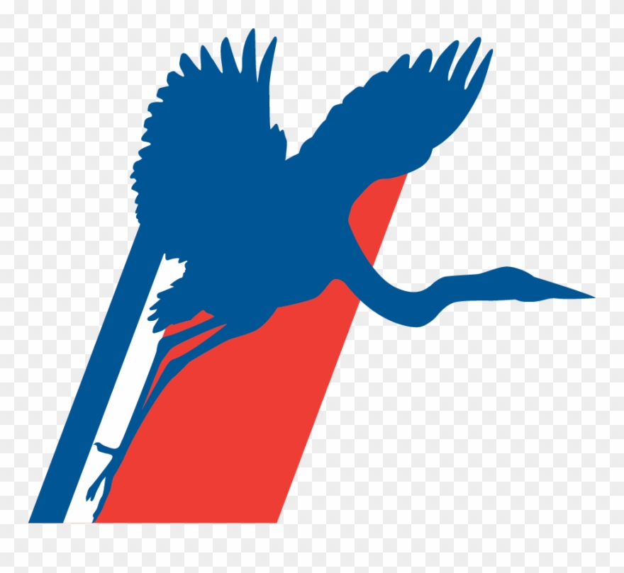 Illustration Clipart