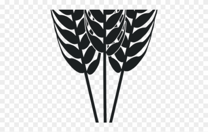 Grain Clipart Harvest - Illustration - Png Download
