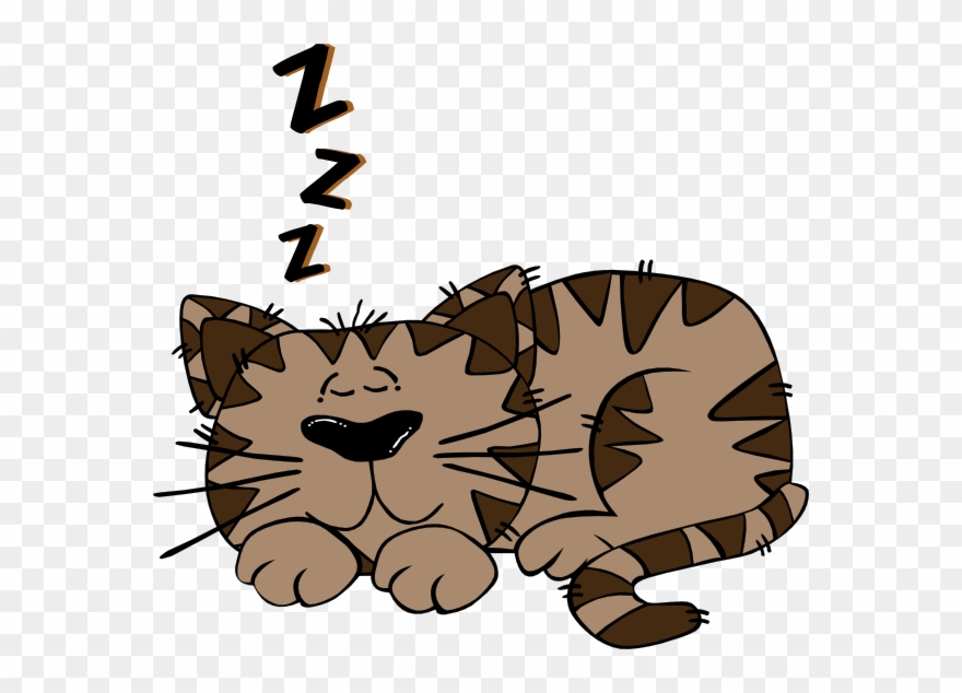 Cartoon Cat Sleeping On A Pillow Clipart