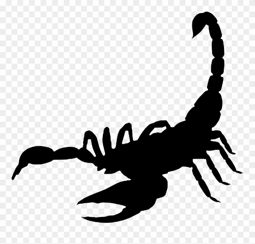Scorpion,arachnida ,silhouette,free Vector Graphics,free - Vis A Vis Frases Clipart