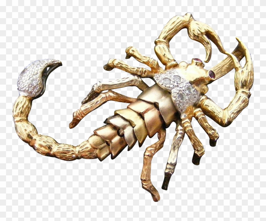 Large Articulated Scorpion Pendant With Ruby White - Scorpion Clipart