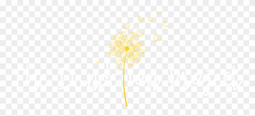 2093 X 864 7 - Dandelion Transparent Png Clipart