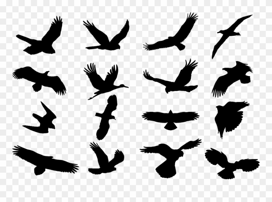 Free Png Download Bird Cdr Png Images Background Png - Birds Silhouette Clipart