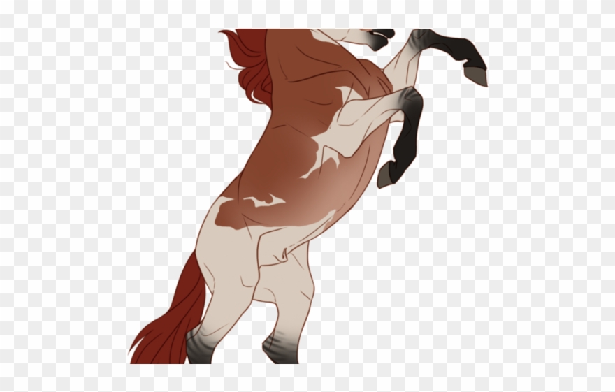 Samurai Clipart Horseback Drawing - Illustration - Png Download