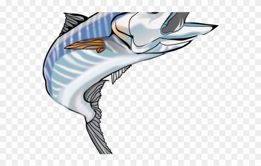 Sailfish Clipart Wahoo - Wahoo - Png Download