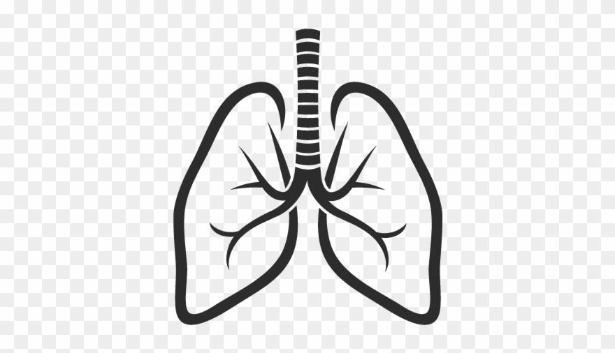 Lungs Icon - Lung Logo Clipart