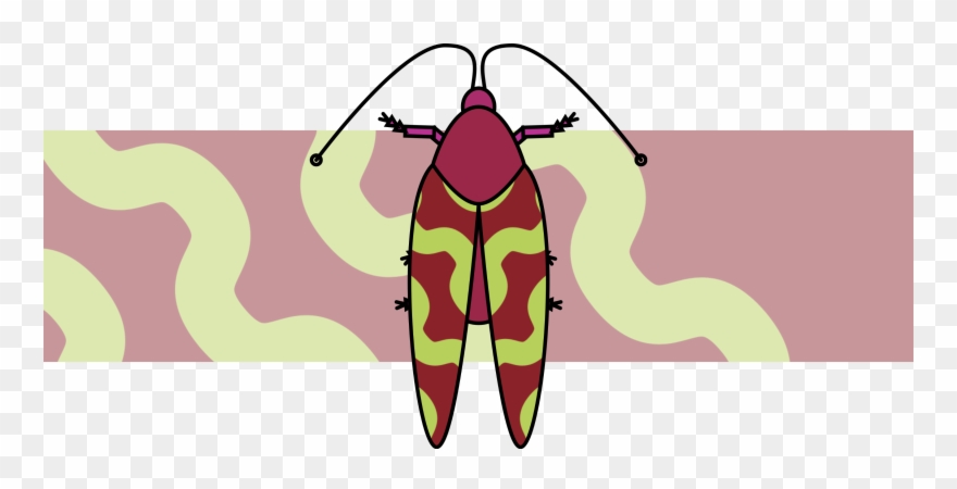 But Beetles Sounded Right To Me - Illustration Clipart