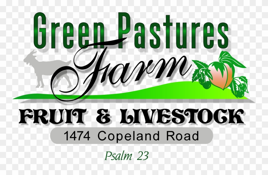 Green Pasture Image Clipart