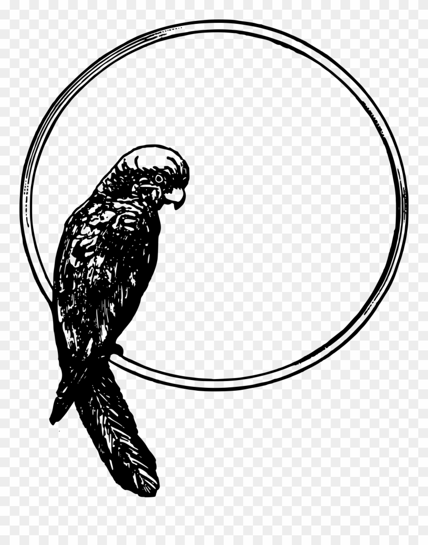 Parrot In A Circle Clipart