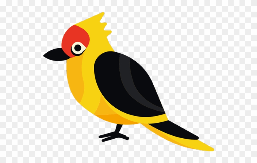 Exotic Clipart Exotic Bird - Passaros Exóticos E Flores - Png Download