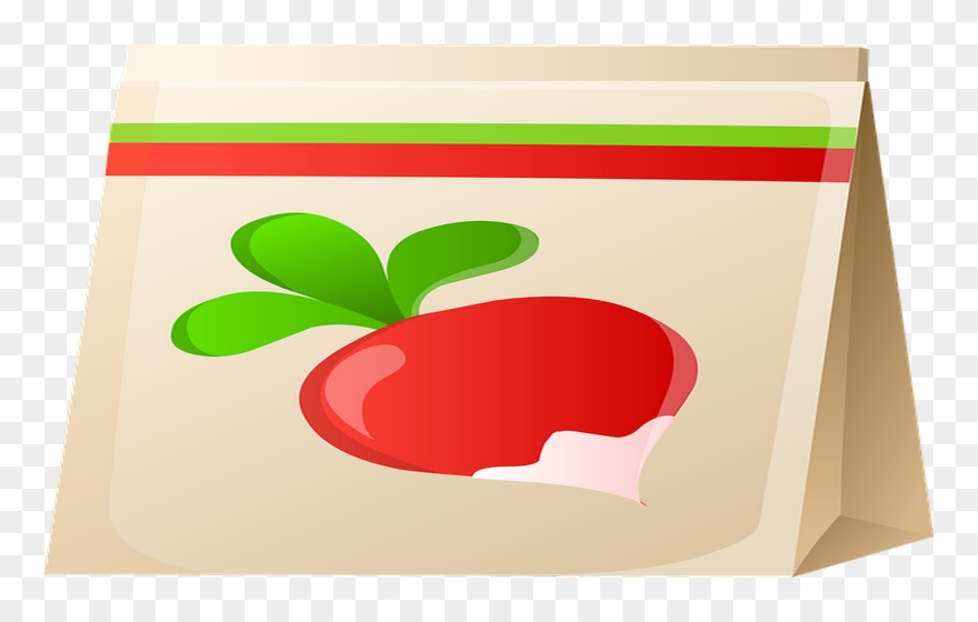 Radish Seeds Png Clipart