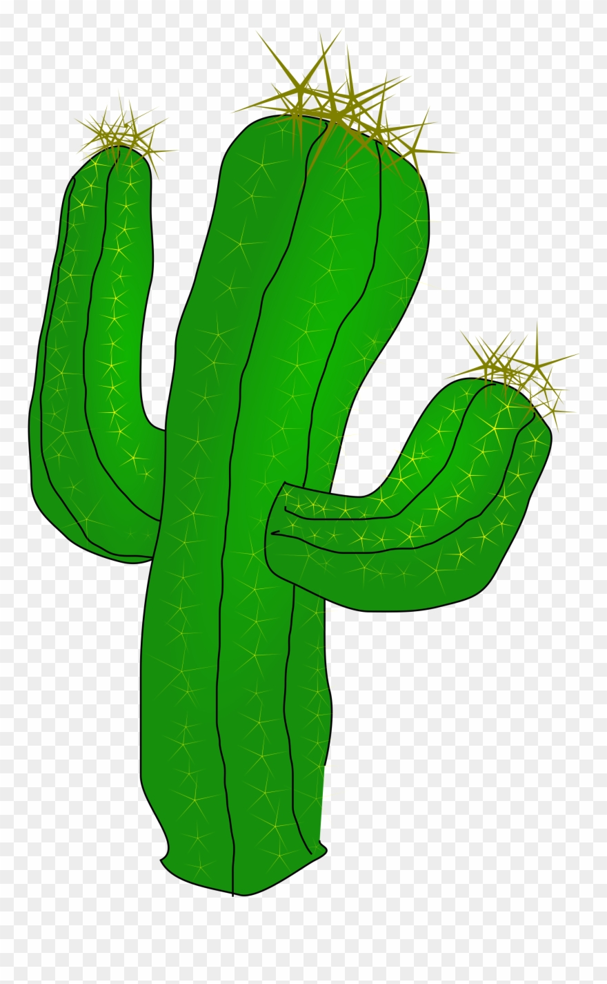 Vector Graphics,free Pictures - Cactus Clipart Transparent Background - Png Download