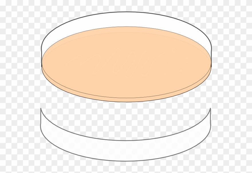 Plate Clipart Orange - Clip Art - Png Download