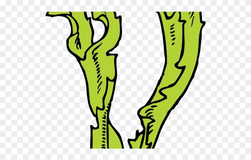 Seaweed Clipart Printable - Seaweed Clip Art - Png Download