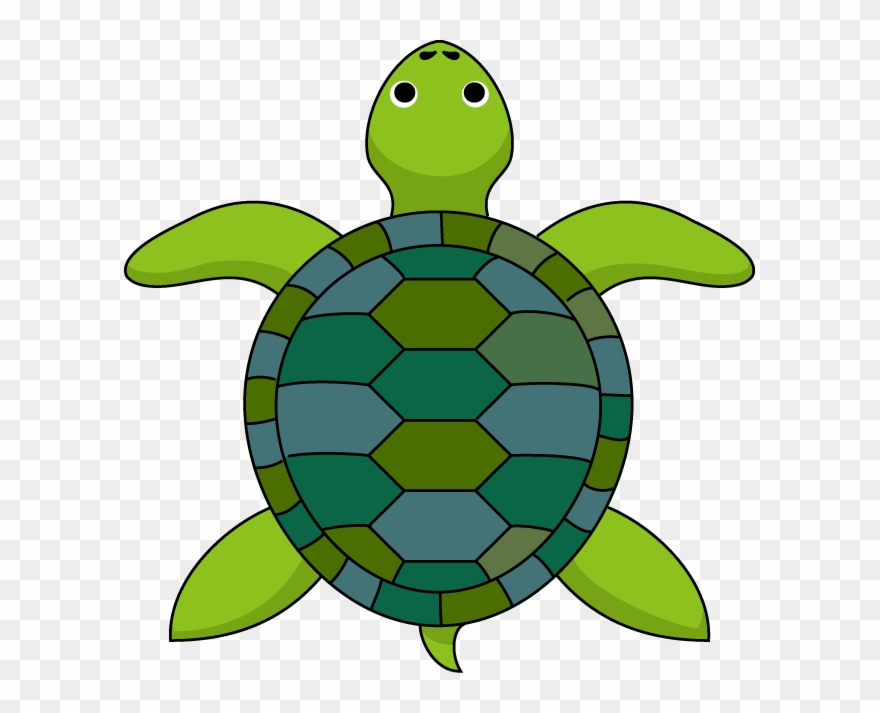 Clip Art Of Seaotter And - Tortoise Clipart - Png Download